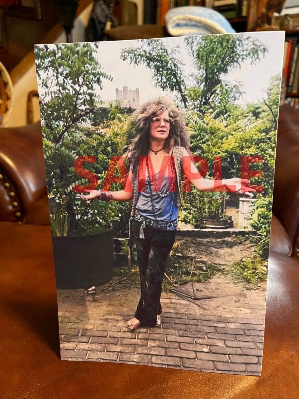 Janis Joplin Rock And Roll Star Outdoors  Photo Tabletop Standee 7" X 10 1/2"